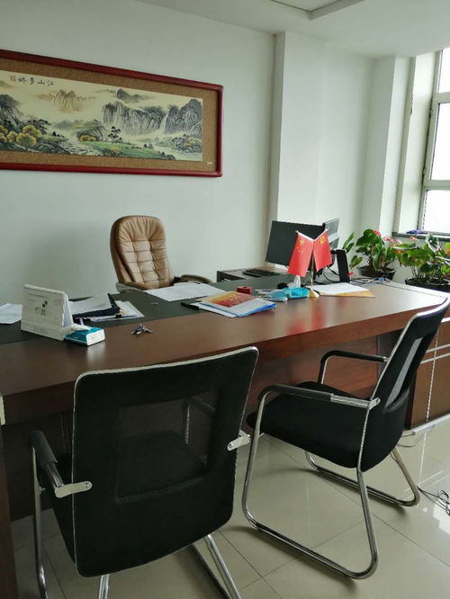 安家长春 搬家公司与搬家服务的贴心指南